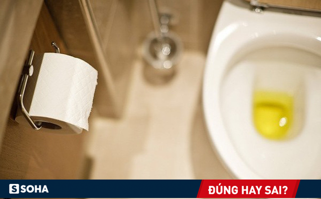 Vừa ngủ dậy đi tiểu ngay lập tức có tốt không: Lâu nay nhiều người vẫn làm mà không hiểu Vừa ngủ dậy đi tiểu ngay lập tức có tốt không: Lâu nay nhiều người vẫn làm mà không hiểu