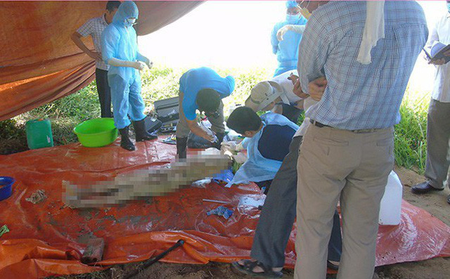 Cán bộ pháp y thông tin về vụ khai quật tử thi nữ kế toán trưởng