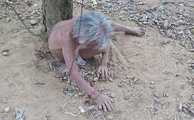 Cụ ông xích vợ cởi trần vào gốc cây: Đưa ra đó cho mát, trong nhà nóng lắm