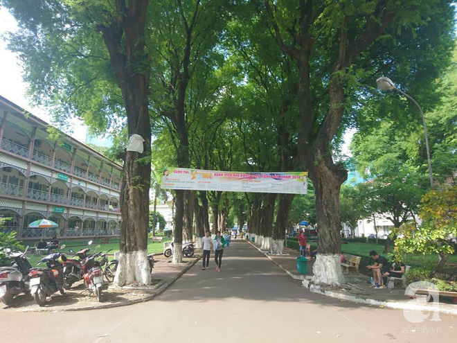 Ninh Thuận: Bé trai 9 tuổi bị hoại tử tinh hoàn phải cắt bỏ vì căn bệnh quái dị