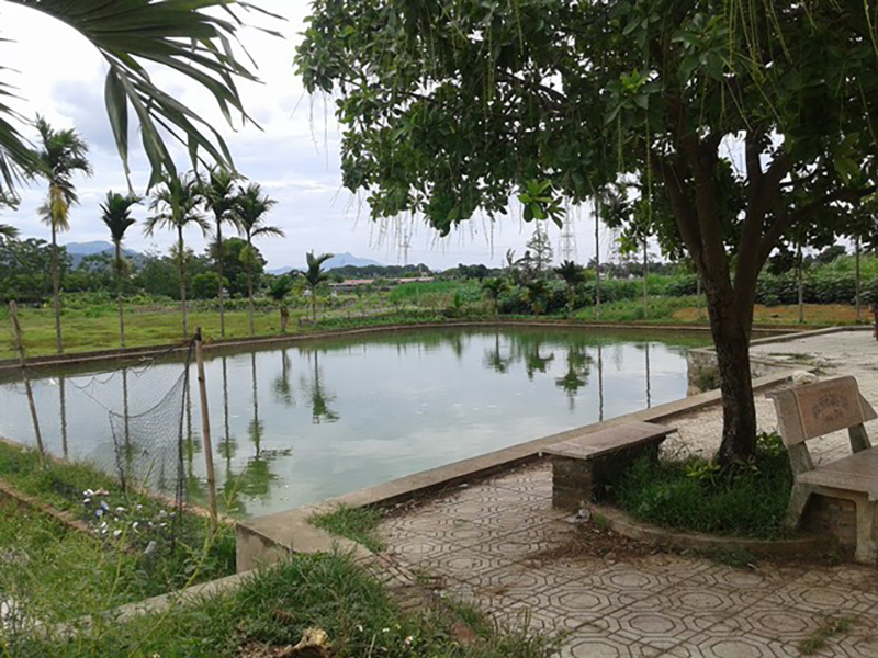 Vụ hai chị em đuối nước ở ao đình: Rất đông người trên bờ nhưng không phát hiện ra