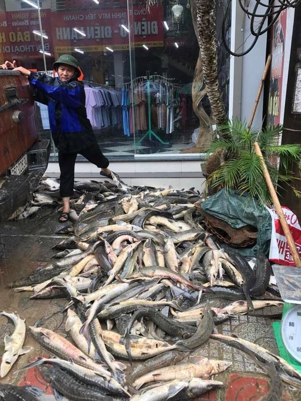 Các tỉnh Tây Bắc chìm trong biển nước