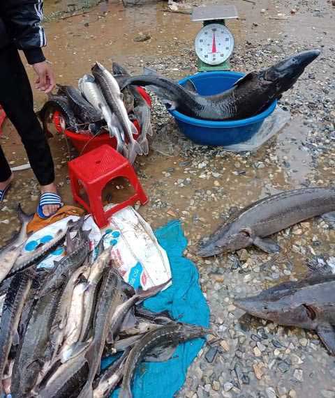 Những hình ảnh thắt lòng sau trận lũ quét ở miền Bắc khiến 13 người chết và mất tích