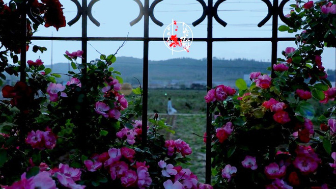 Cuộc sống đẹp như trong mơ với khu vườn không khác gì cổ tích của cô gái trẻ vừa xinh đẹp lại vô cùng đa tài