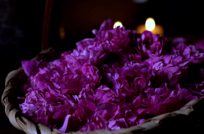 Cuộc sống đẹp như trong mơ với khu vườn không khác gì cổ tích của cô gái trẻ vừa xinh đẹp lại vô cùng đa tài