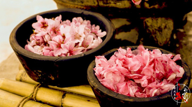 Cuộc sống đẹp như trong mơ với khu vườn không khác gì cổ tích của cô gái trẻ vừa xinh đẹp lại vô cùng đa tài