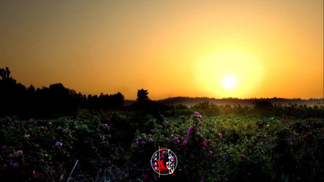 Cuộc sống đẹp như trong mơ với khu vườn không khác gì cổ tích của cô gái trẻ vừa xinh đẹp lại vô cùng đa tài