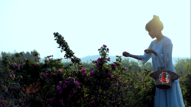 Cuộc sống đẹp như trong mơ với khu vườn không khác gì cổ tích của cô gái trẻ vừa xinh đẹp lại vô cùng đa tài