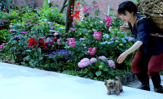 Cuộc sống đẹp như trong mơ với khu vườn không khác gì cổ tích của cô gái trẻ vừa xinh đẹp lại vô cùng đa tài