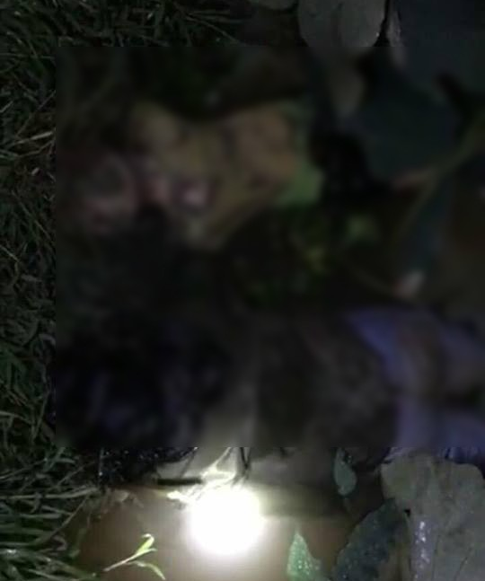 Công an huyện Lục Ngạn truy tìm chủ tài khoản đăng tin án mạng 3 người chết ở Bắc Giang