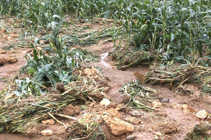 Khung cảnh tan hoang ở vùng rốn lũ Hà Giang