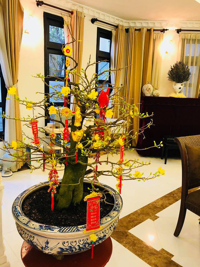 Hình ảnh hiếm hoi về biệt thự triệu đô của Lệ Quyên và chồng