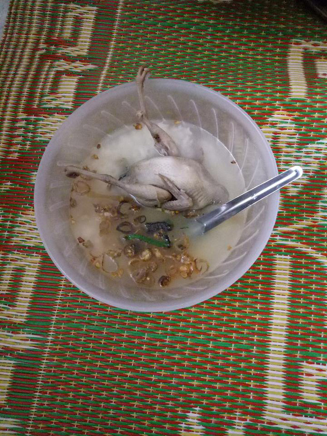 Vợ khoe chồng nấu cháo kinh dị để dưỡng thai: Chim nguyên con, hành nổi lềnh bềnh