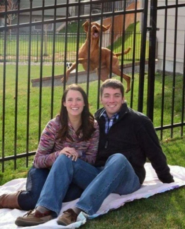 Những hình ảnh hài hước với background lấn át hoàn toàn nhân vật chính, nữ hoàng Anh cũng góp mặt trong một tấm