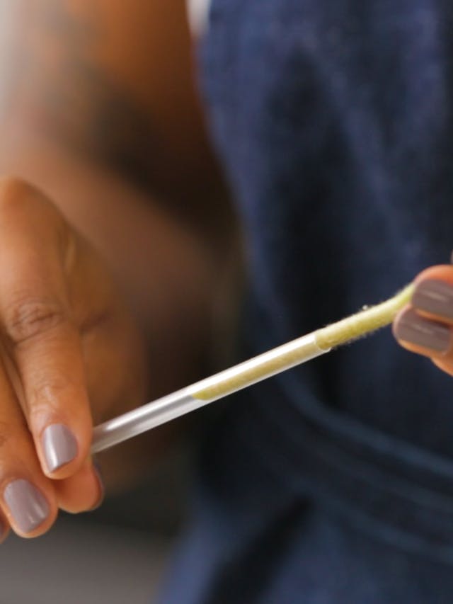 5 bước đơn giản giúp hoa được tươi lâu hơn và đẹp hơn sau khi cắm