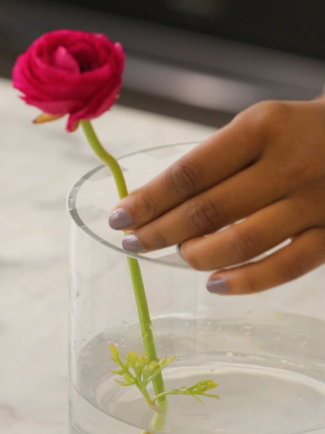 5 bước đơn giản giúp hoa được tươi lâu hơn và đẹp hơn sau khi cắm
