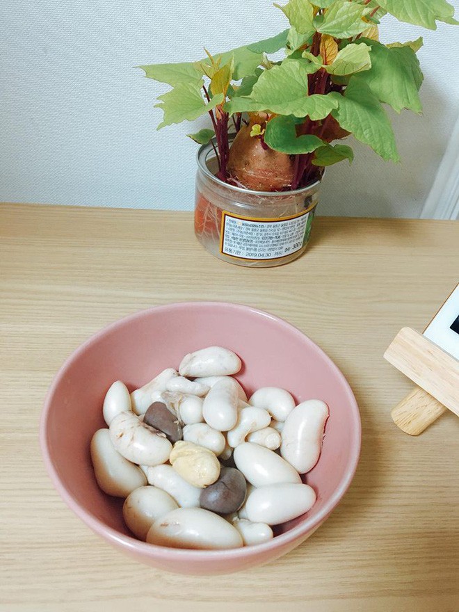 Cô gái trẻ khoe món ăn đam mê cháy bỏng trị giá cả triệu đồng, cánh mày râu bỏ chạy tán loạn