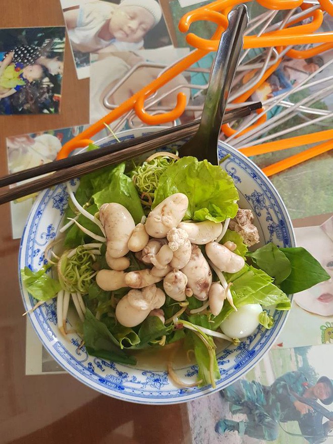 Cô gái trẻ khoe món ăn đam mê cháy bỏng trị giá cả triệu đồng, cánh mày râu bỏ chạy tán loạn