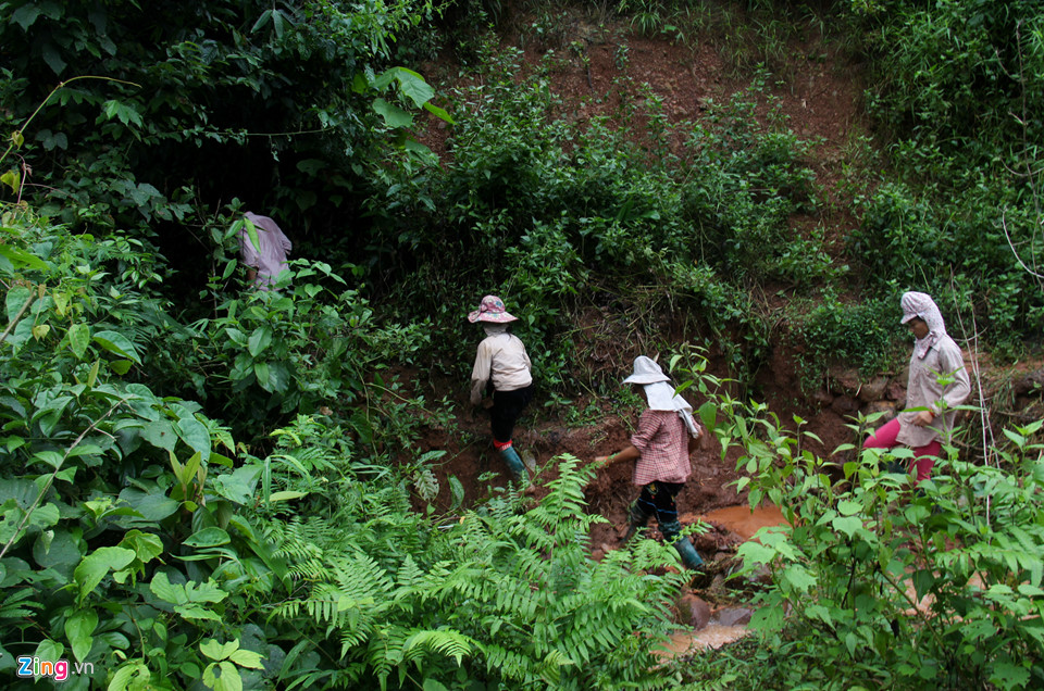 Hơn 50 người ngụp lặn trong biển bùn tìm 5 nạn nhân mất tích