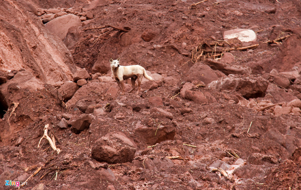 Hơn 50 người ngụp lặn trong biển bùn tìm 5 nạn nhân mất tích