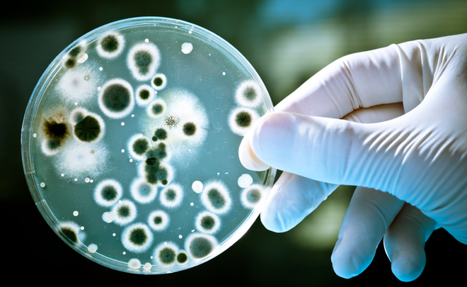 Xuất hiện bệnh nhân kháng tất cả các loại kháng sinh, bác sĩ cảnh báo cuộc chiến của siêu vi khuẩn với loài người