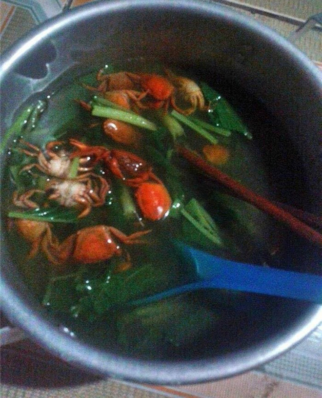 Khoe món ăn giàu protein bạn gái làm, chàng trai khiến cư dân mạng cười rớt hàm khi vừa nhìn thấy ảnh