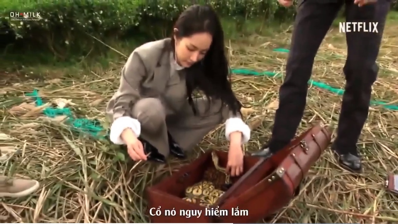 Thư ký Kim sợ nhện là thế nhưng lại dám bắt rắn dọa đồng nghiệp nam chạy mất dạng Thư ký Kim sợ nhện là thế nhưng lại dám bắt rắn dọa đồng nghiệp nam chạy mất dạng