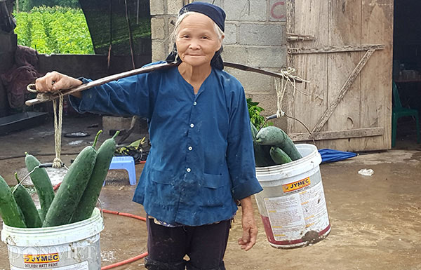 Lạng Sơn: Rơi nước mắt bán 1 tạ bí đao không mua nổi 2kg thịt lợn