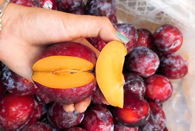 Nhà giàu Việt dốc tiền mua mận đi máy bay 600.000 đồng/kg