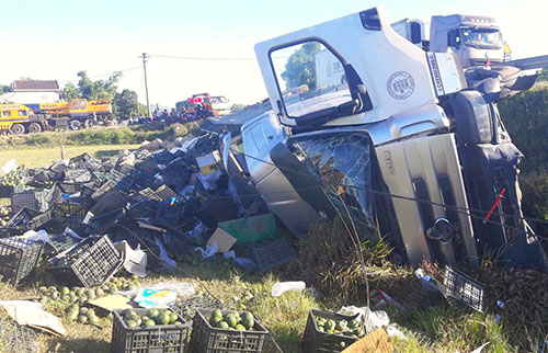 Người dân đội nắng gom hơn 20 tấn hoa quả giúp tài xế bị lật xe