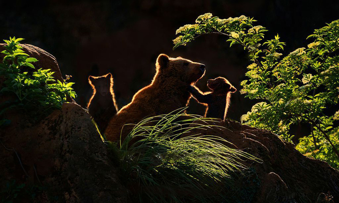 Ảnh thiên nhiên đẹp nhất tháng 6