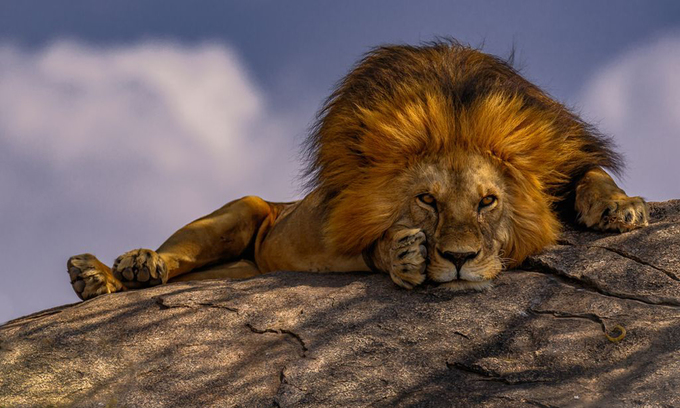 Ảnh thiên nhiên đẹp nhất tháng 6