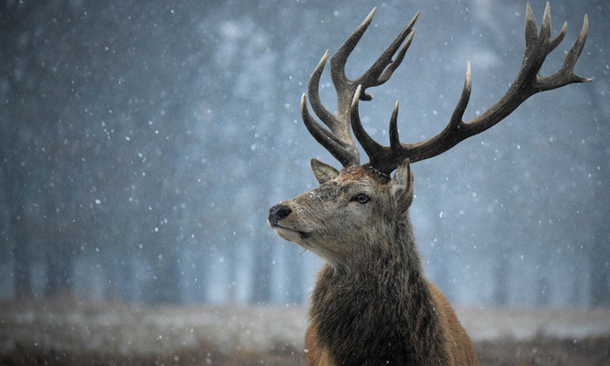 Ảnh thiên nhiên đẹp nhất tháng 6