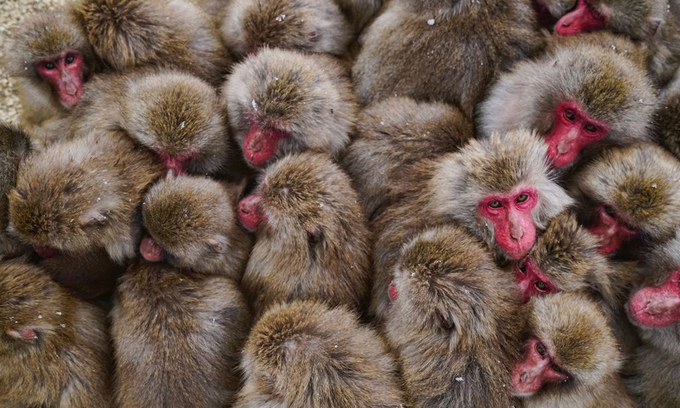 Ảnh thiên nhiên đẹp nhất tháng 6