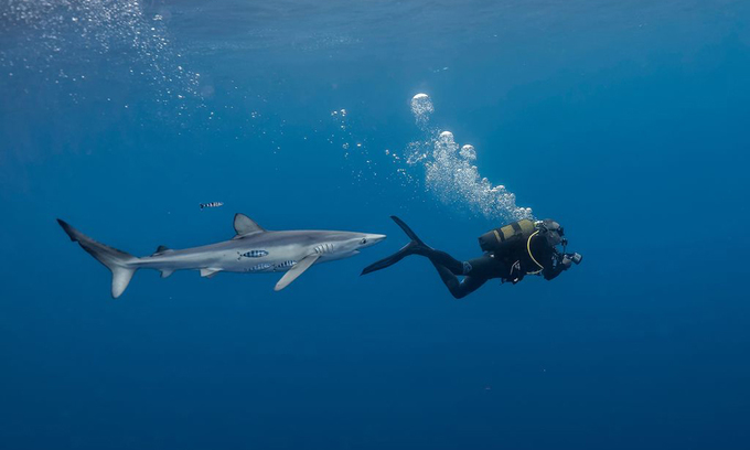 Ảnh thiên nhiên đẹp nhất tháng 6