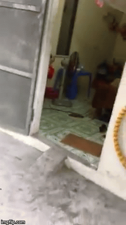 Không bật 3G khi đi chơi, người đàn ông bị vợ dùng ghế nhựa đánh đập không thương tiếc