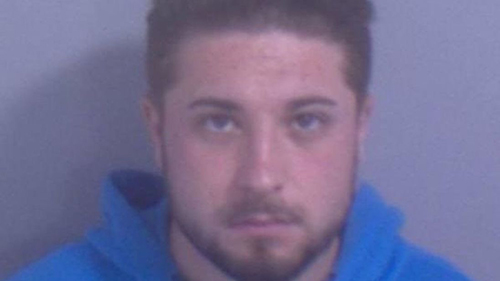 Nam sinh Romania lĩnh án tù vì giấu thiếu niên người Việt trong vali