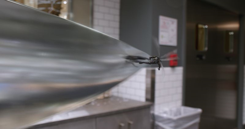 Những điều fan hâm mộ cần biết trước khi xem Ant-Man and The Wasp Những điều fan hâm mộ cần biết trước khi xem Ant-Man and The Wasp