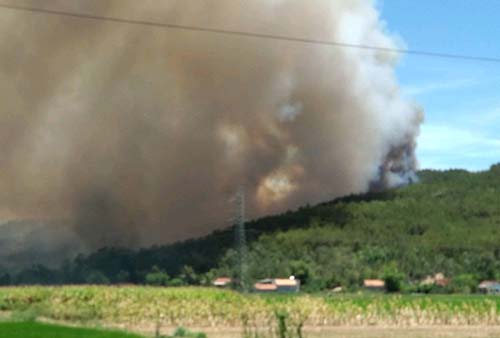 Rừng thông bốc cháy giữa nắng nóng 40 độ