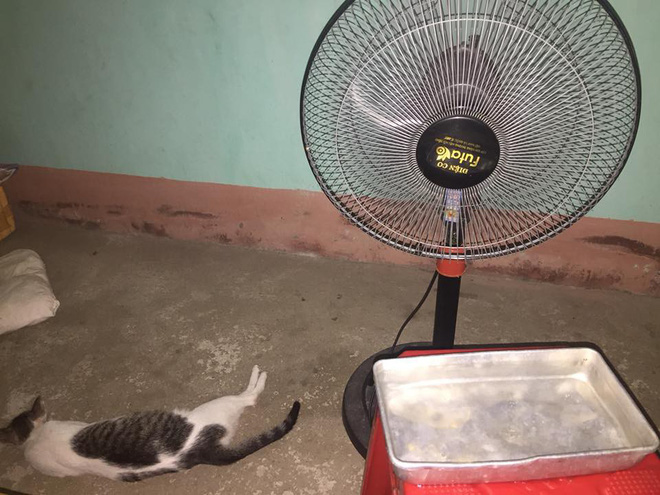 Dân mạng cả nước chia sẻ bảng nhiệt độ kinh hoàng, mách nhau cách sống sót qua chuỗi ngày 40 độ