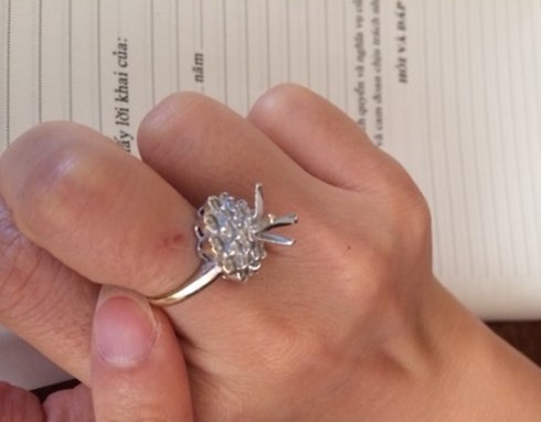 Giúp việc 9X lấy trộm nhẫn kim cương, đồng hồ Hermes cùng loạt túi xách Gucci, Louis Vuitton, D&G... của gia chủ rồi đăng hình khoe Facebook