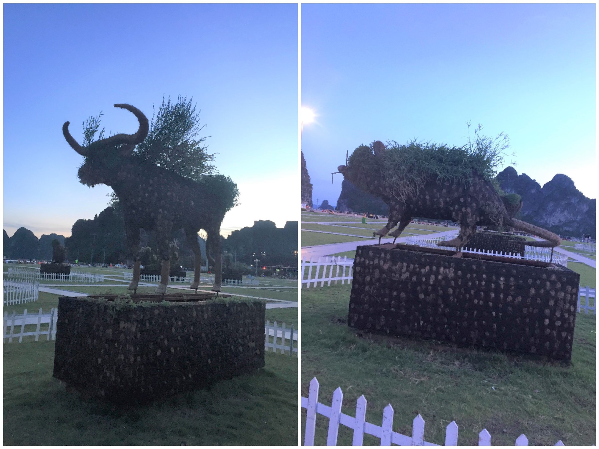 Tượng khỉ ở Hạ Long đột nhiên lan truyền trên MXH bởi biểu cảm ngáo ngơ khó tả