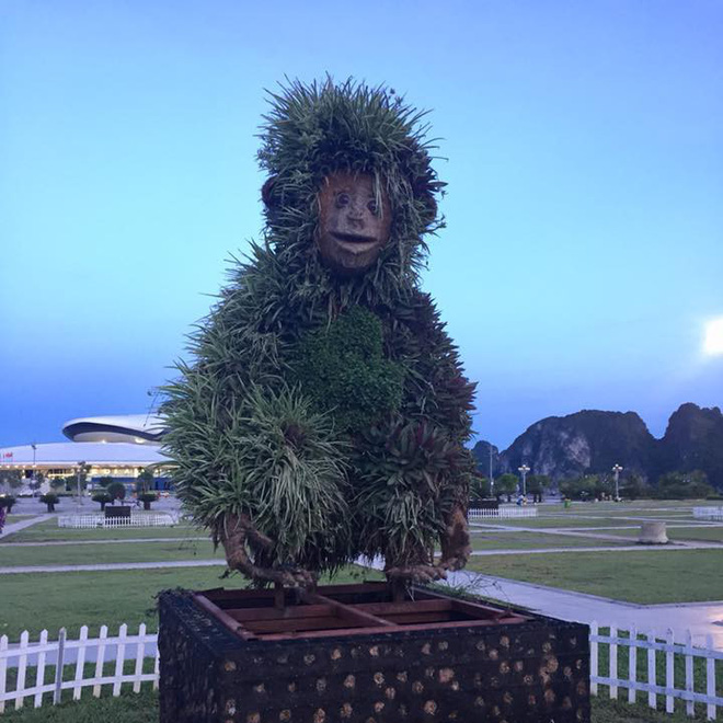 Tượng khỉ ở Hạ Long đột nhiên lan truyền trên MXH bởi biểu cảm ngáo ngơ khó tả