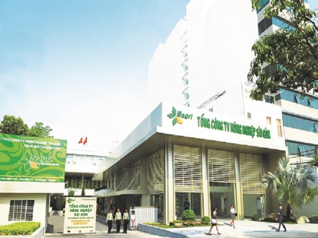 Sagri quản lý hơn 7.000 ha đất nhưng chỉ lãi 47 tỷ đồng, vì sao?