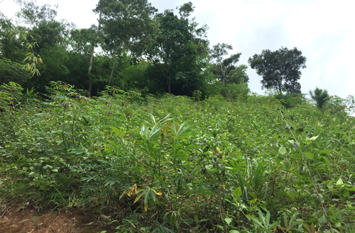 Khai quật mộ nam thanh niên để điều tra nguyên nhân tử vong