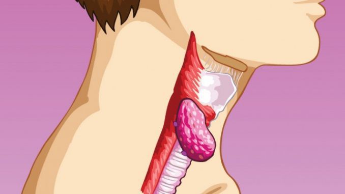 Ngứa da điên cuồng trong mùa hè, có thể là do bạn đã mắc phải một trong các bệnh sau