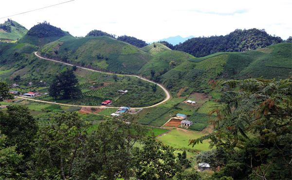 Công an Sơn La: Trùm ma túy bí mật tẩu tán tài sản, két sắt chỉ còn ít tiền