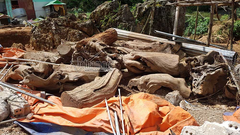 Điều khó hiểu trong nhà của trùm ma túy khét tiếng Nguyễn Thanh Tuân