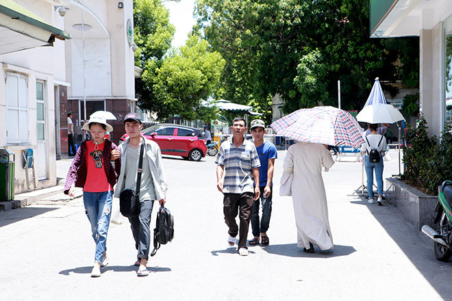 Hà Nội hóa lò bát quái, người nhà bệnh nhân vạ vật trong ATM, gốc cây tránh nắng