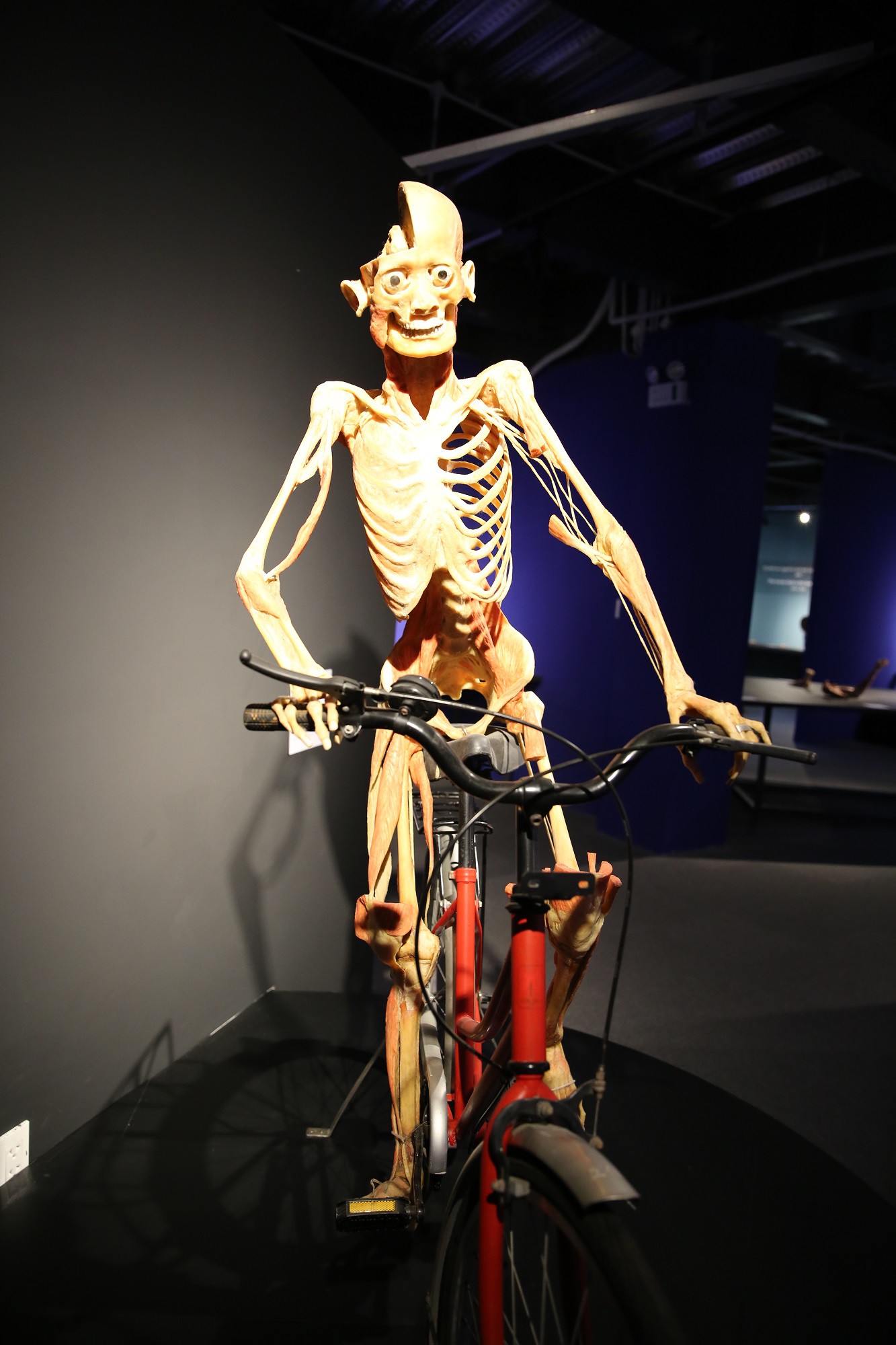 Triển lãm cơ thể và nội tạng của xác người thật được nhựa hóa ở Sài Gòn gây tranh cãi